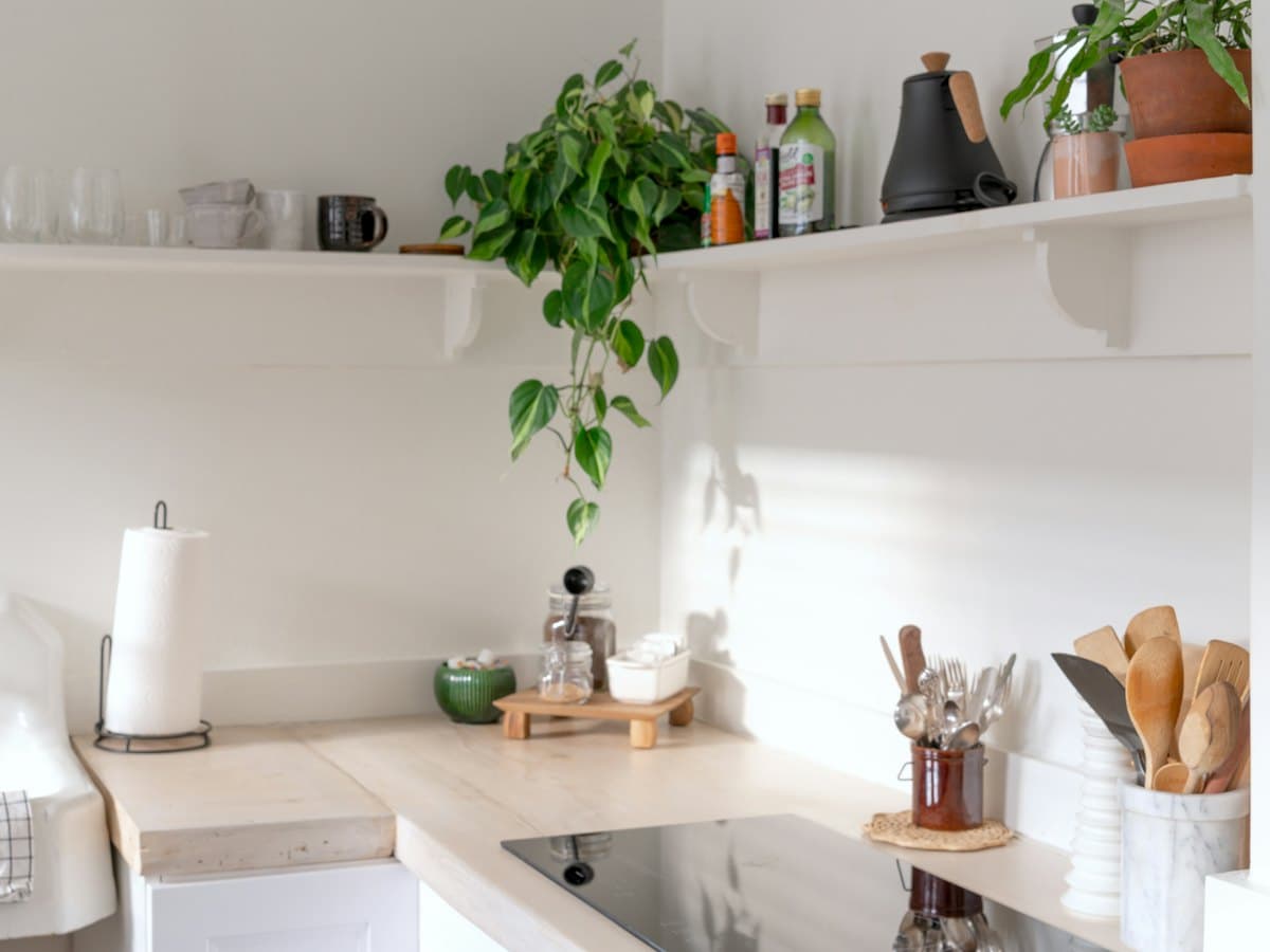 A bright, minimalist kitchen with plants, shelves and a cooktop.